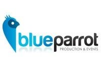 Blue parrot