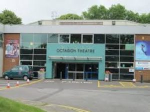 octagon yeovil outside